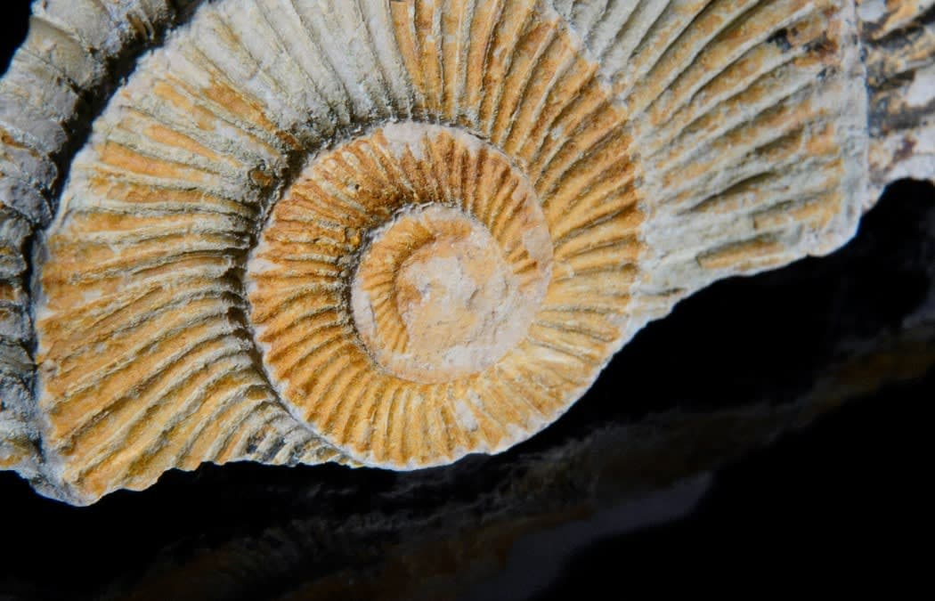 hermes-agent-nous-research